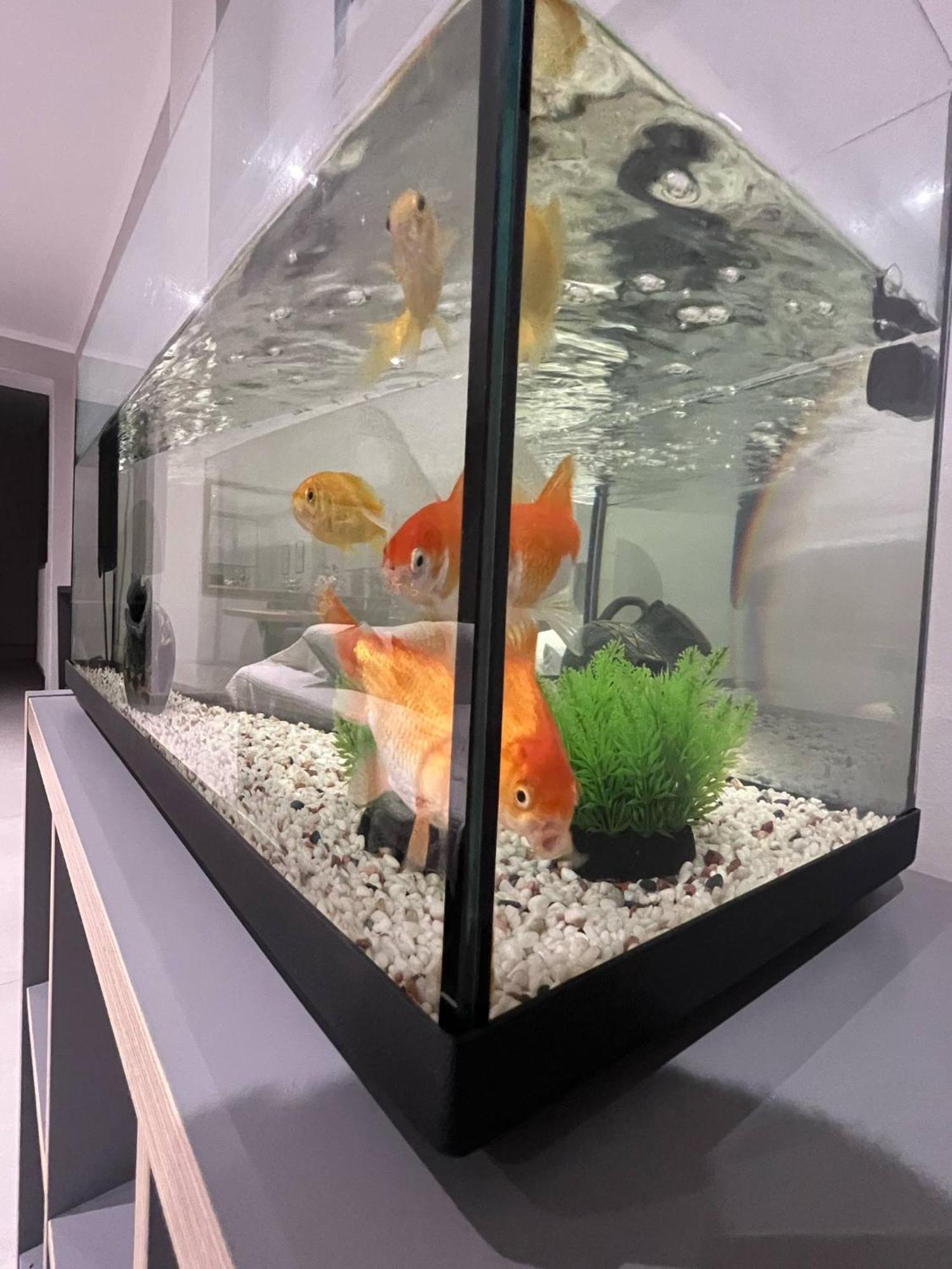 Seaside Luxury Apartments Pórto Ráfti Екстериор снимка